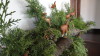 img0020.jpg