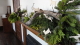 img0043.jpg