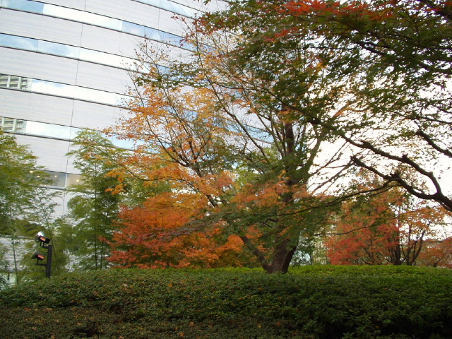 img0003.jpg
