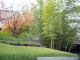 img0001.jpg