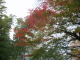 img0002.jpg