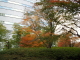 img0003.jpg