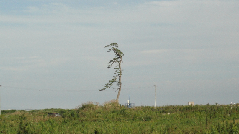 img0000.jpg