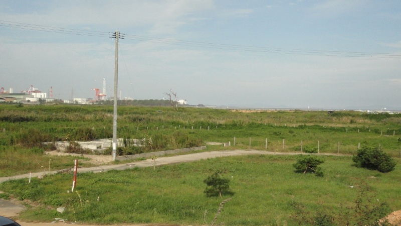 img0005.jpg