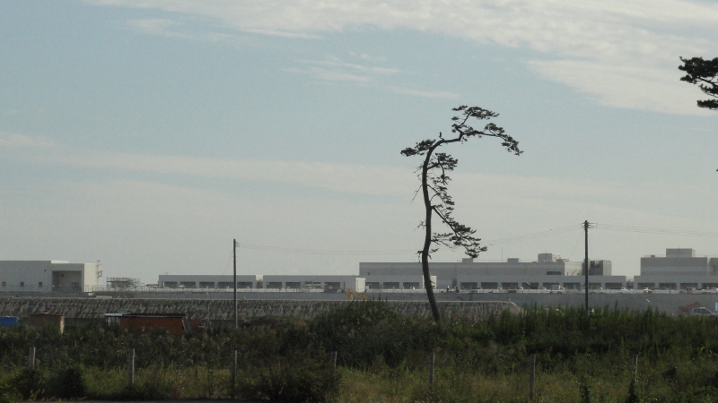 img0012.jpg
