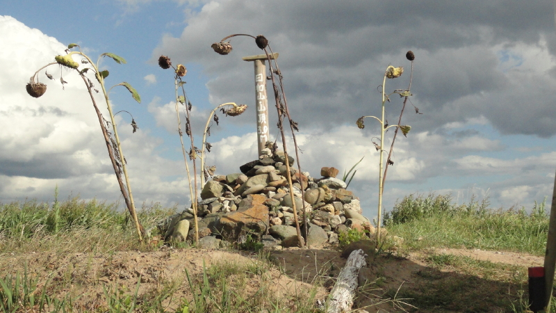 img0020.jpg