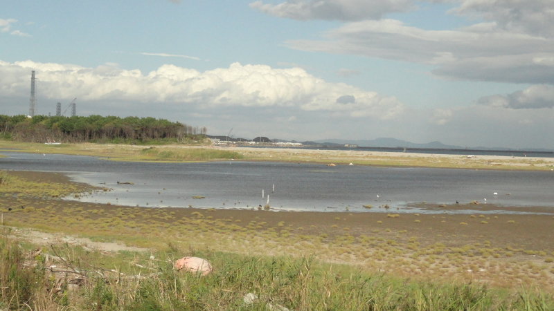img0026.jpg