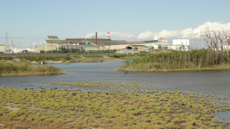 img0028.jpg