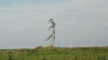 img0000.jpg