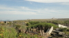 img0001.jpg