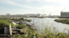 img0004.jpg