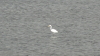 img0025.jpg