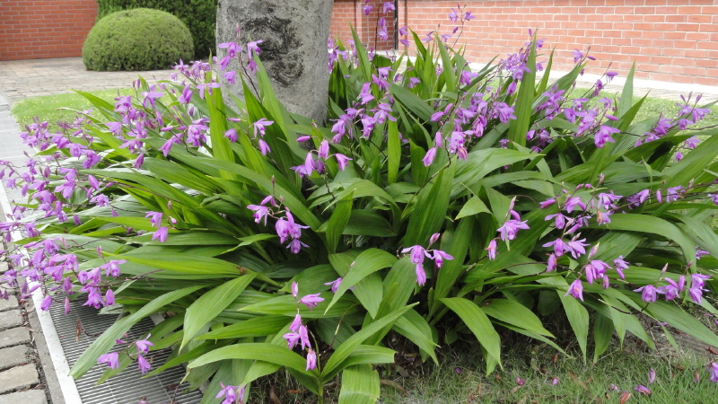 img0010.jpg