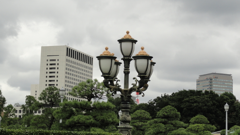 img0010.jpg