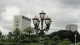 img0010.jpg