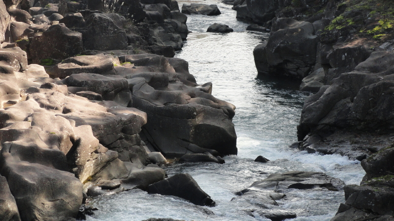 img0003.jpg