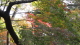 img0006.jpg