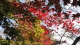 img0007.jpg