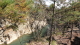 img0017.jpg