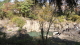 img0020.jpg