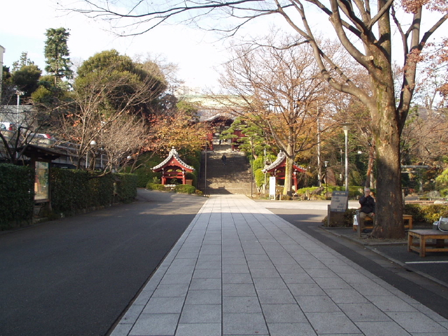 img0002.jpg