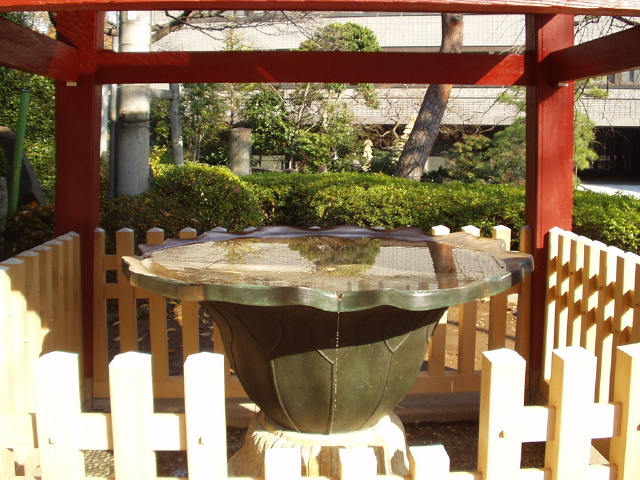 img0003.jpg
