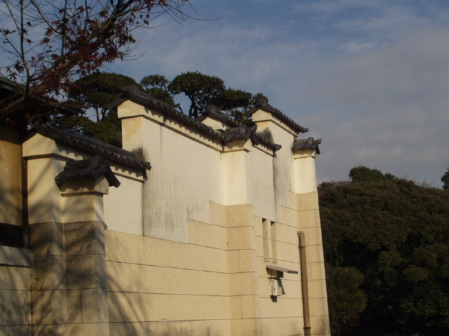 img0009.jpg