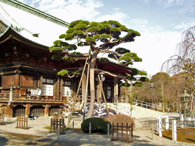 img0018.jpg