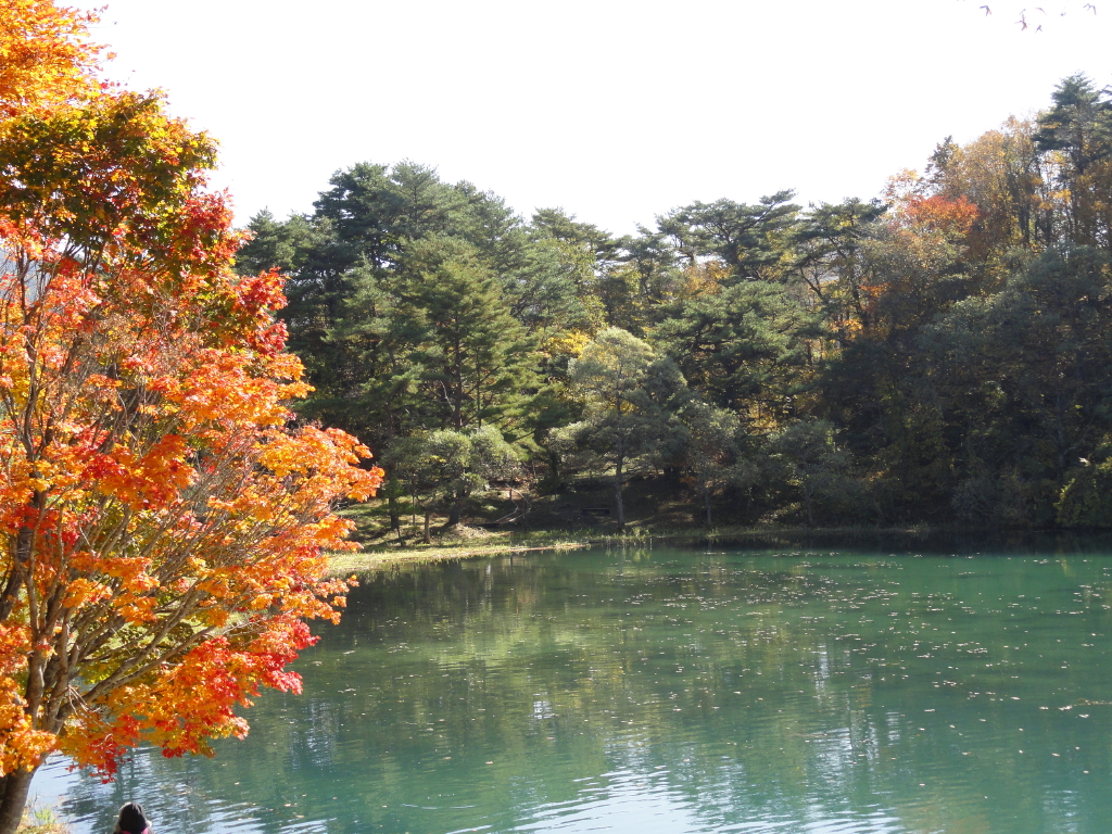 img0012.jpg