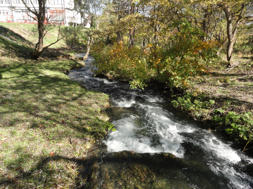 img0020.jpg