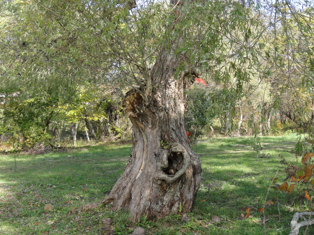 img0023.jpg