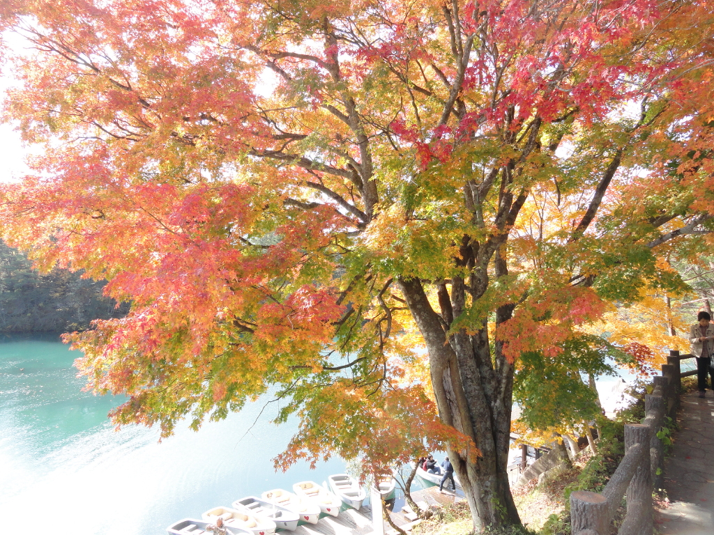 img0024.jpg