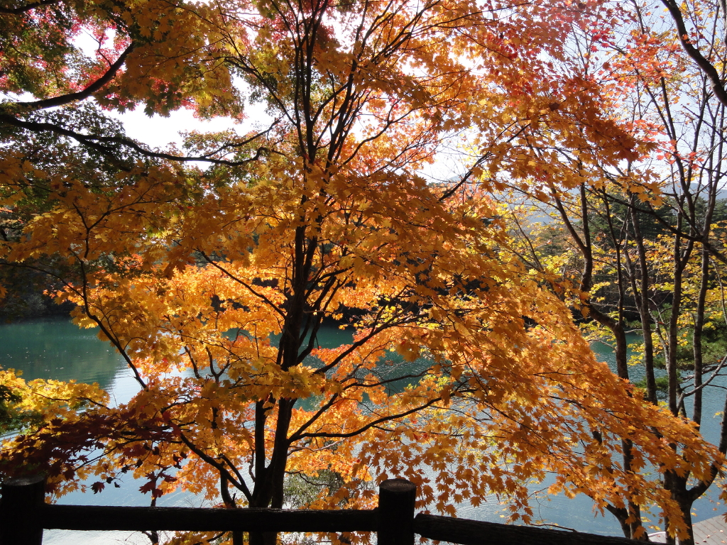 img0025.jpg