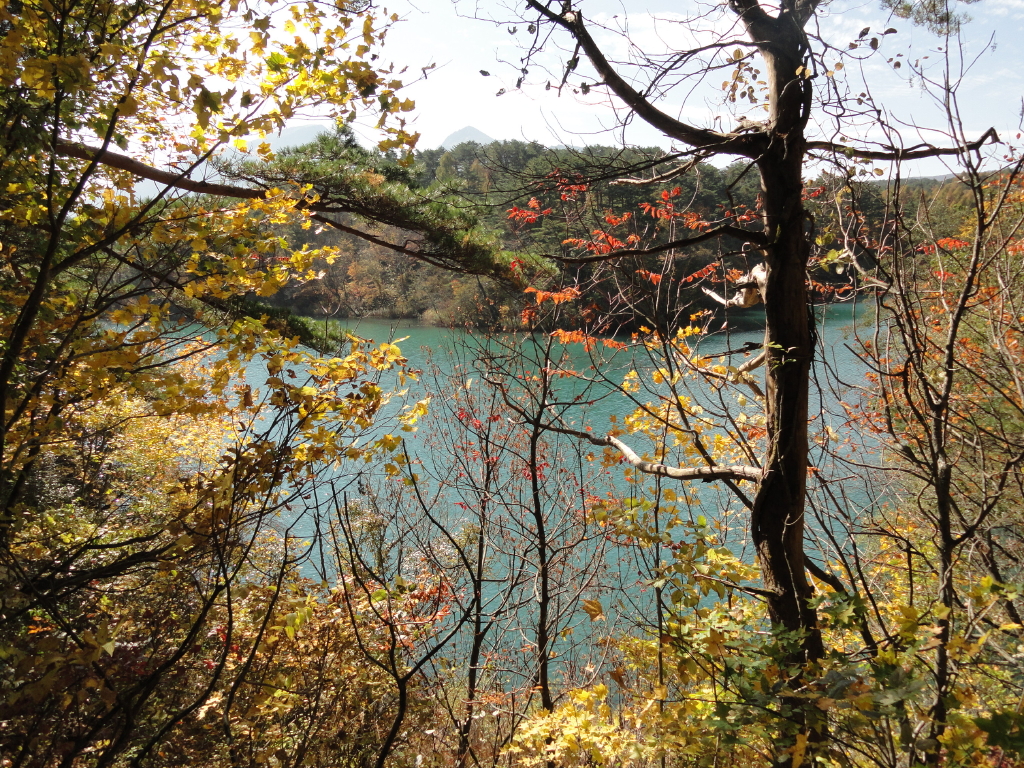 img0042.jpg