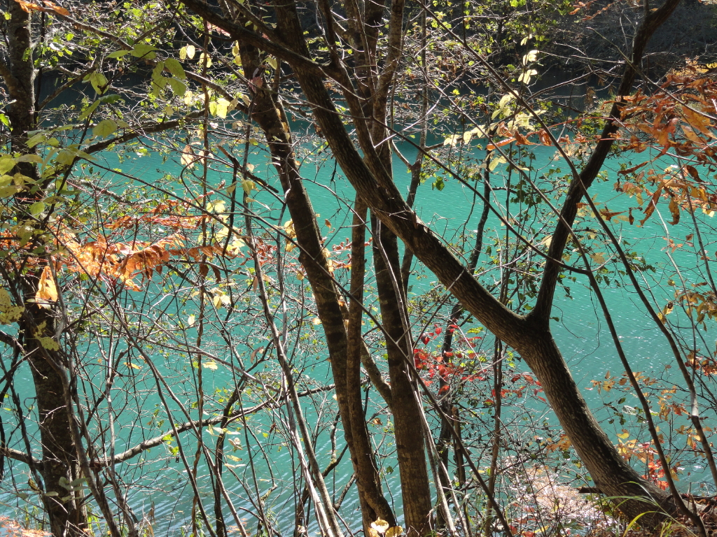img0048.jpg