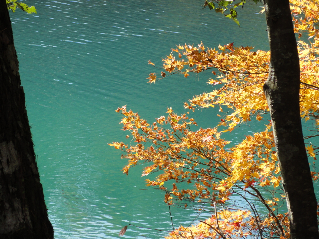 img0050.jpg
