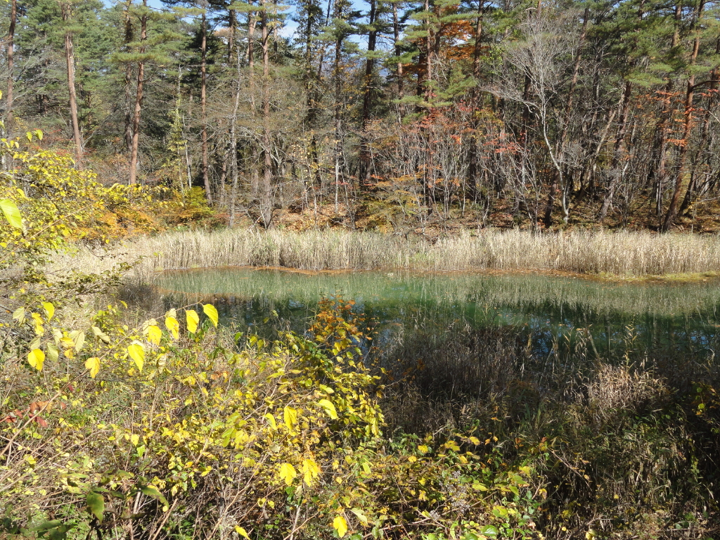 img0058.jpg