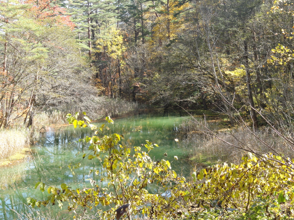 img0064.jpg