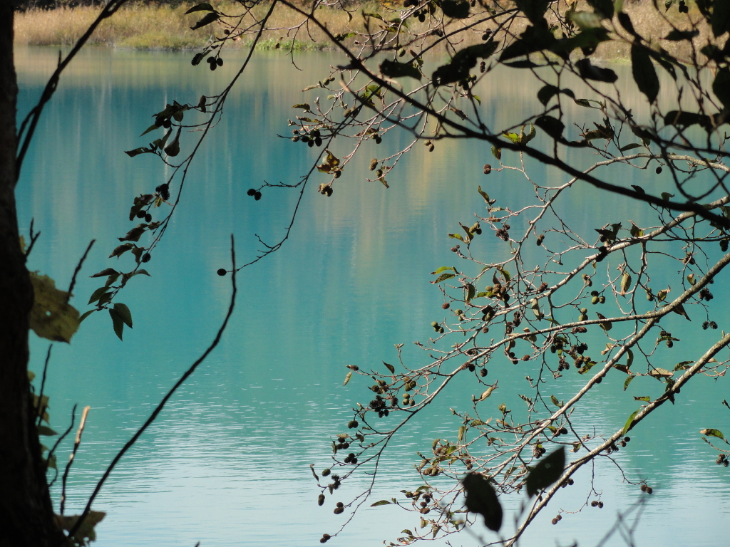 img0076.jpg