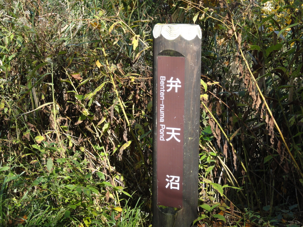 img0098.jpg