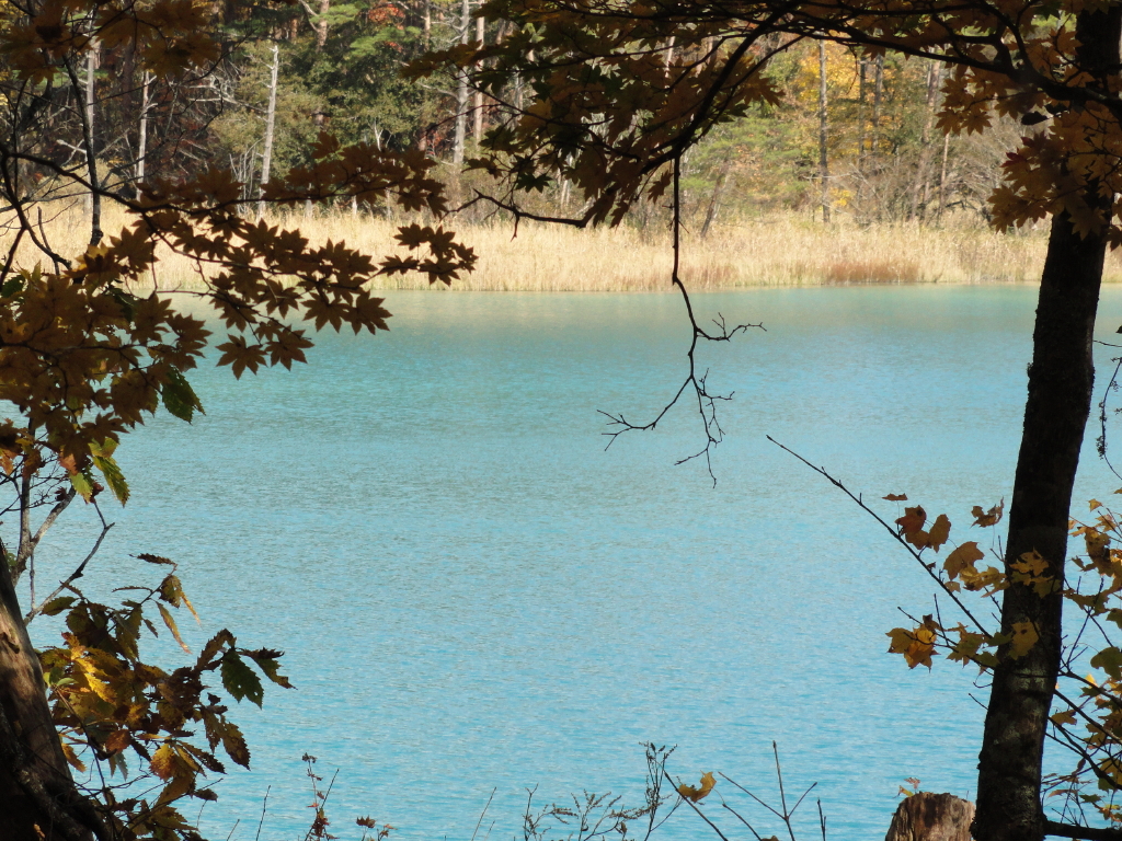 img0105.jpg