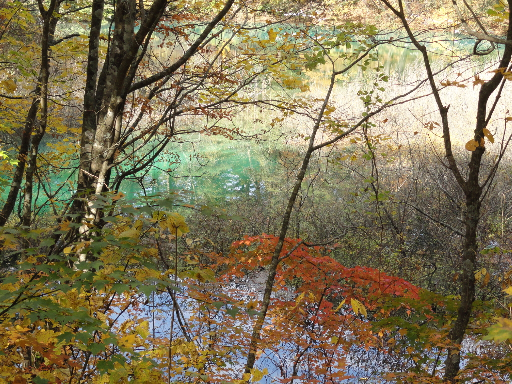 img0108.jpg