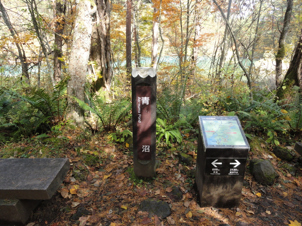 img0117.jpg