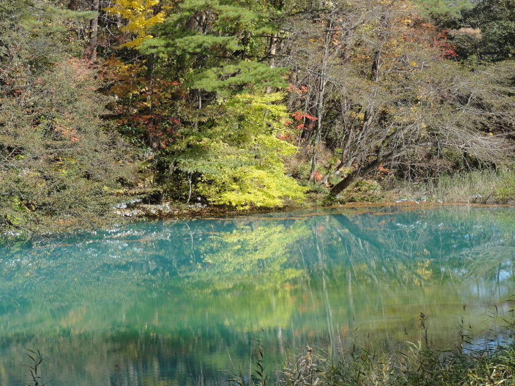 img0120.jpg