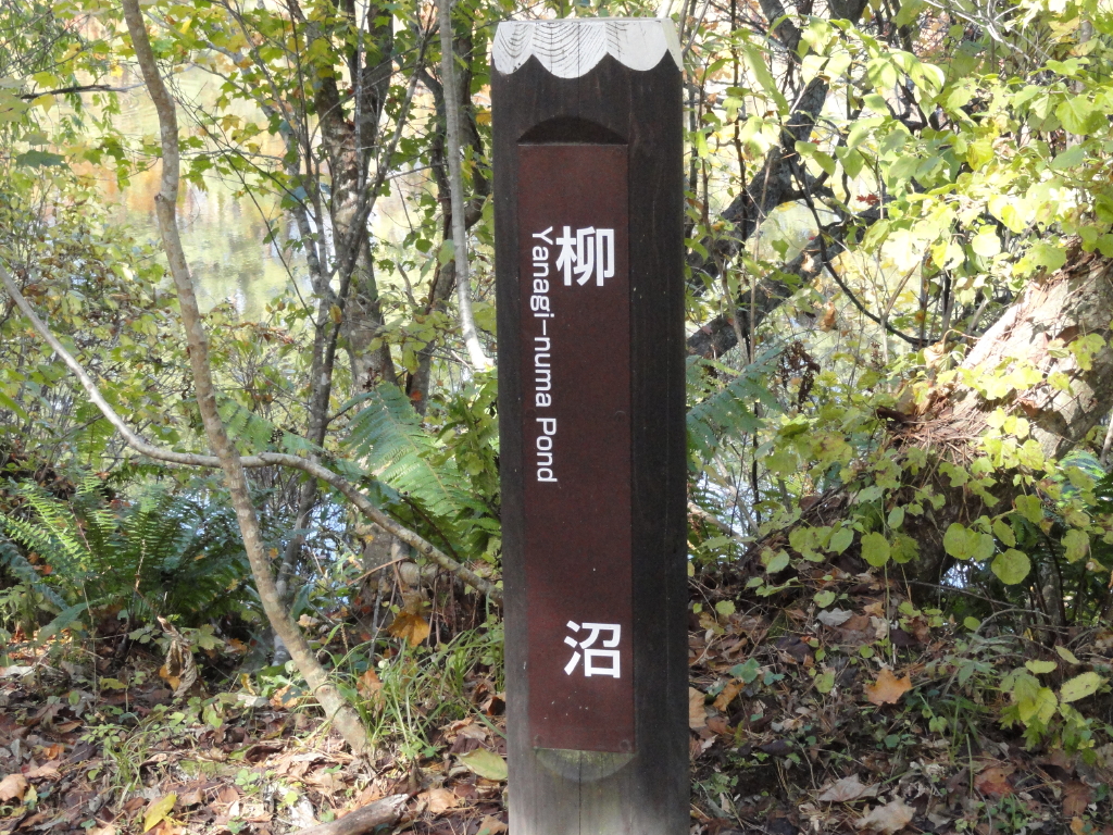 img0131.jpg