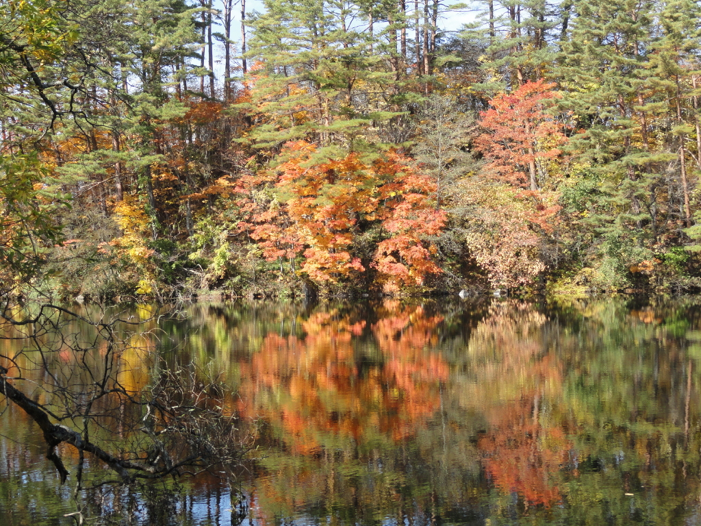 img0133.jpg