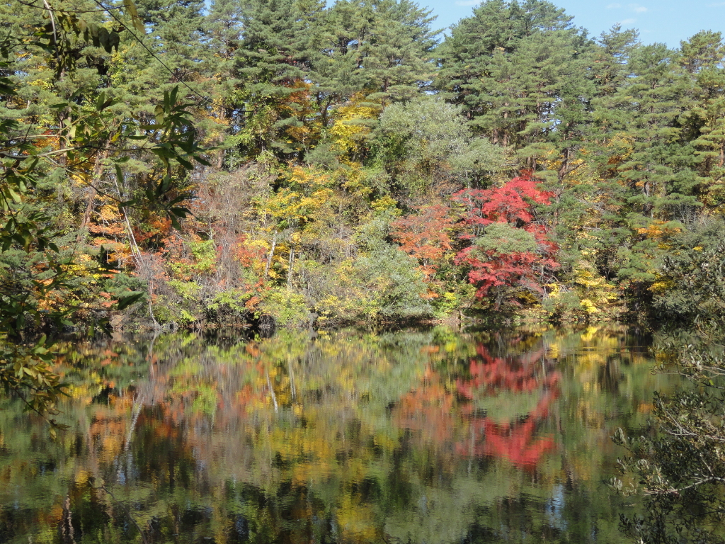 img0135.jpg