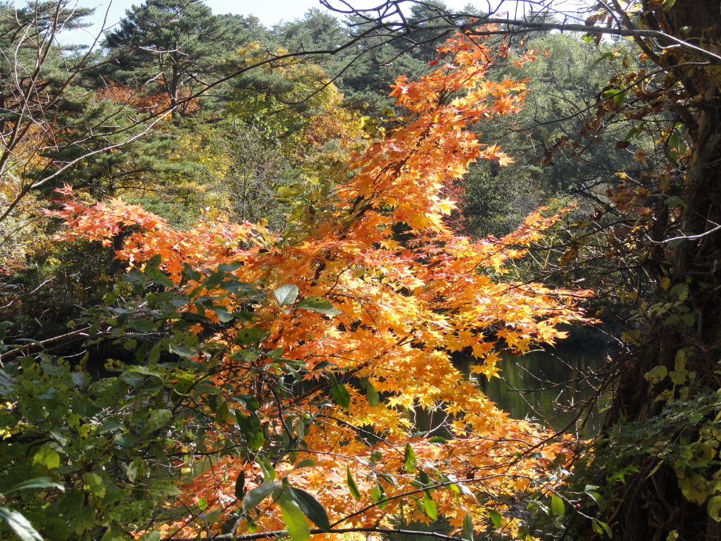 img0148.jpg