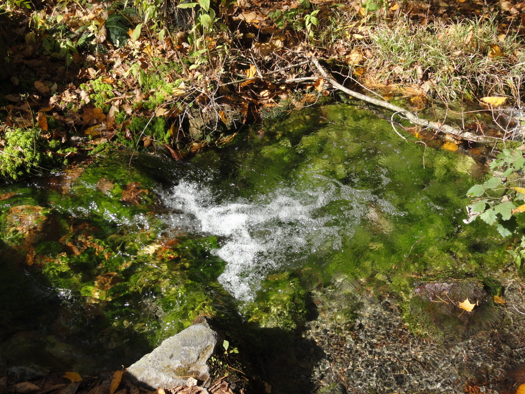 img0156.jpg