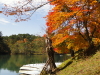 img0016.jpg